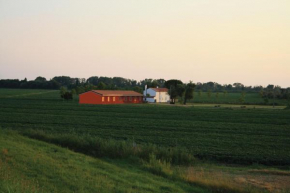 Agriturismo Ca' Pisani Taglio Di Po